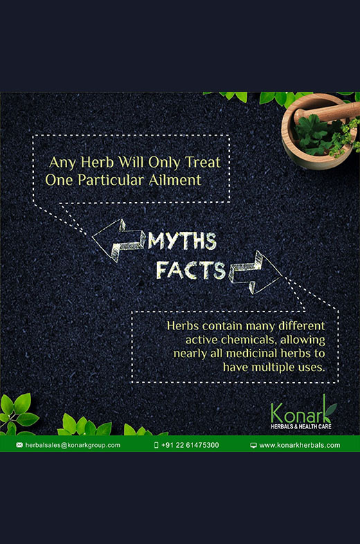 Konark Herbals